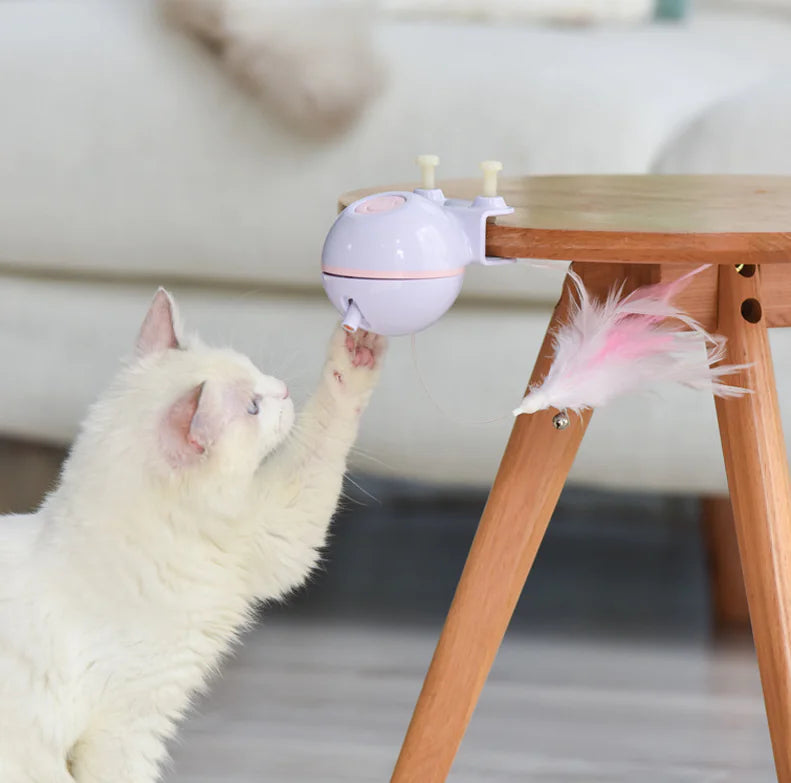Pet Toy Ball with USB Electric Teaser Wand
