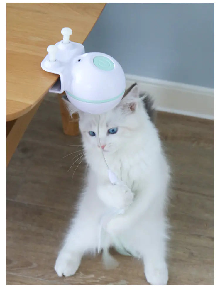 Pet Toy Ball with USB Electric Teaser Wand