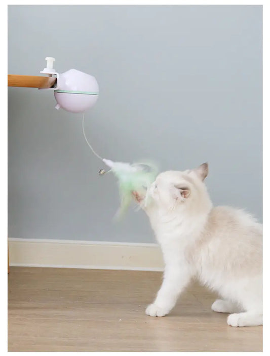 Pet Toy Ball with USB Electric Teaser Wand