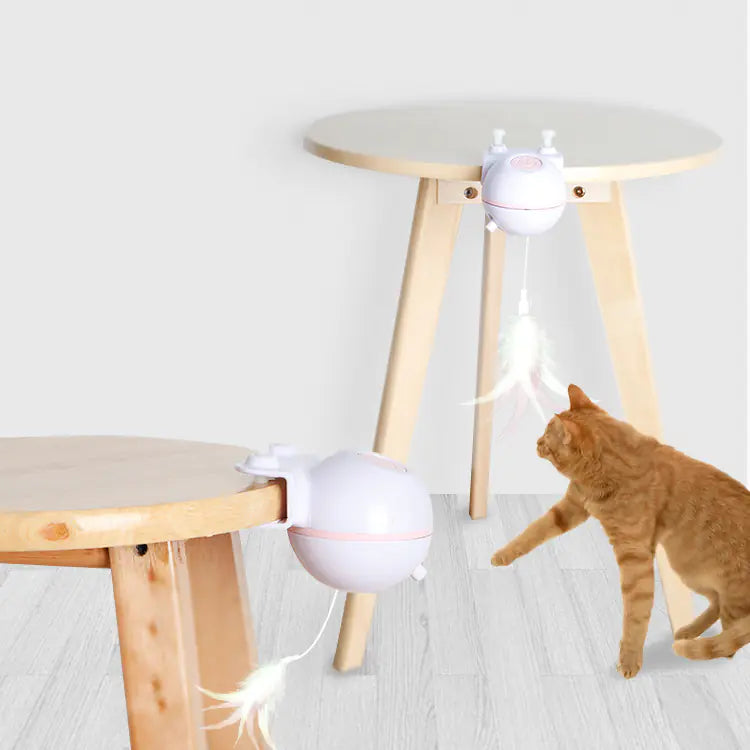 Pet Toy Ball with USB Electric Teaser Wand