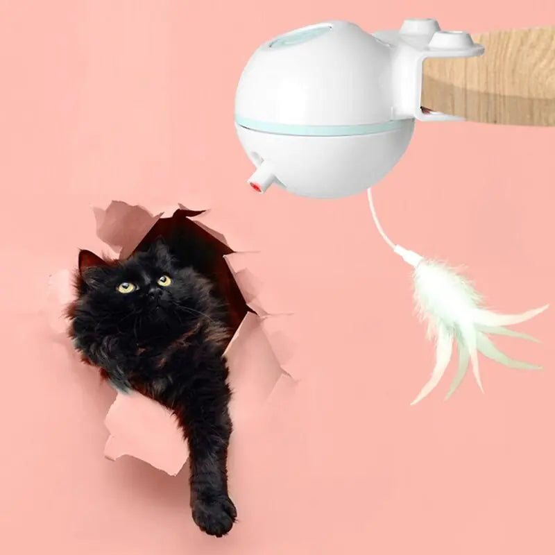 Pet Toy Ball with USB Electric Teaser Wand